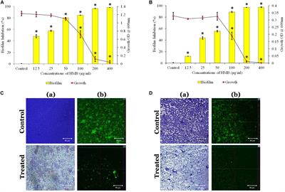 Explication of the Potential of 2-Hydroxy-4-Methoxybenzaldehyde in Hampering Uropathogenic Proteus mirabilis <mark class="highlighted">Crystalline Biofilm</mark> and Virulence